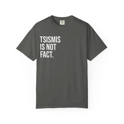 Tsismis Is Not Fact T‑Shirt — Funny Statement Graphic Tee