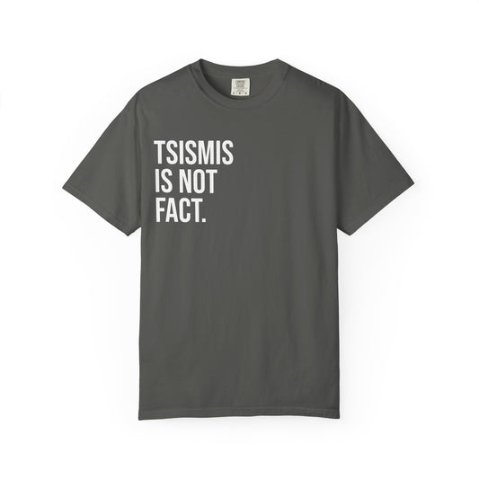 Tsismis Is Not Fact T‑Shirt — Funny Statement Graphic Tee