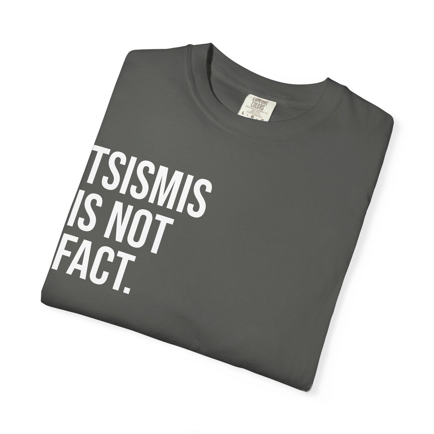 Tsismis Is Not Fact T‑Shirt — Funny Statement Graphic Tee